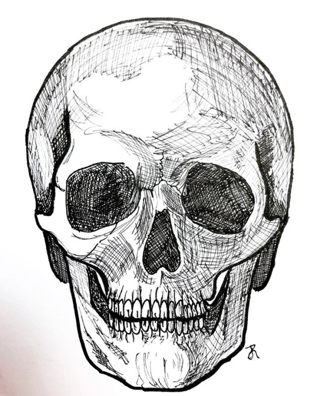 Череп для рисования