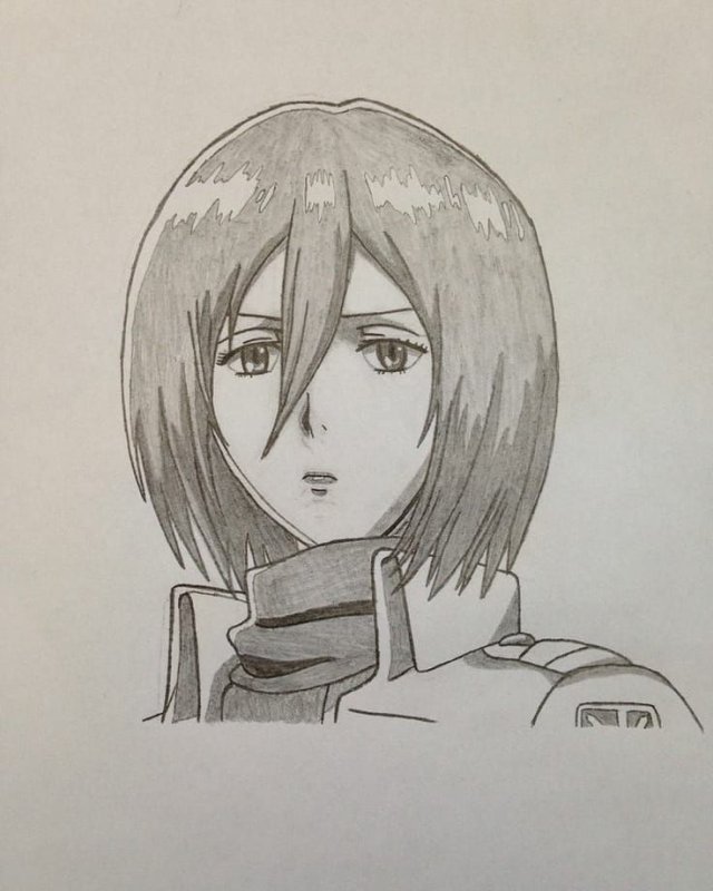 Атака титанов Микаса