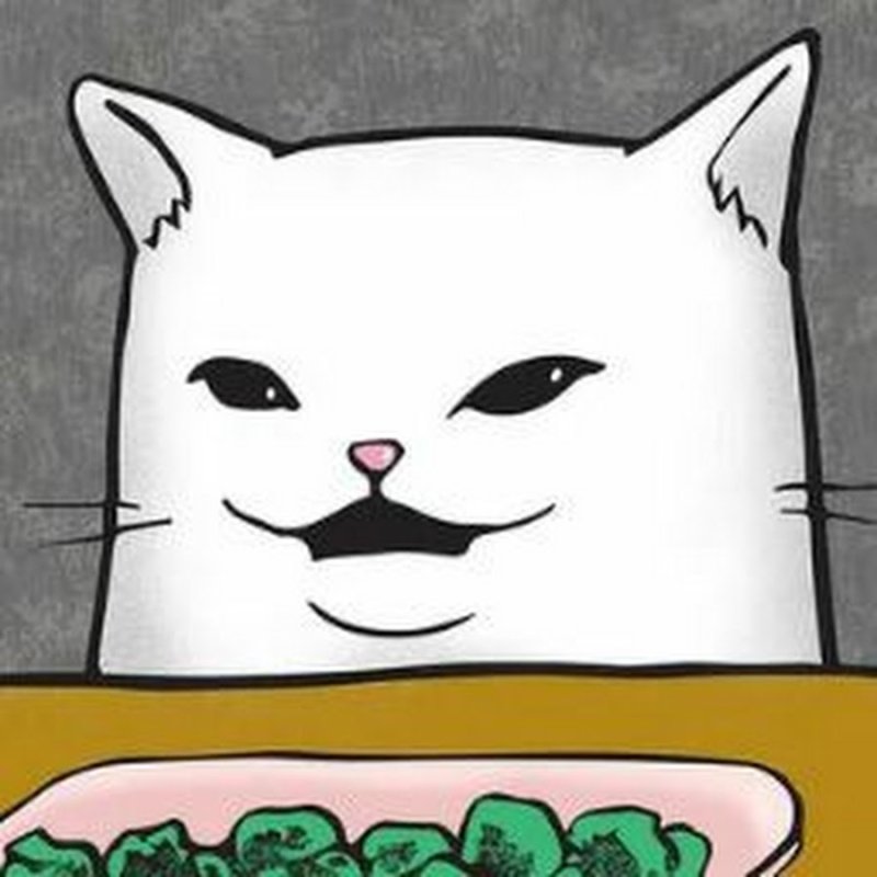 Котики мемы арт