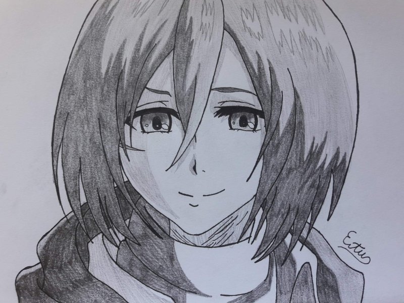 Атака титанов Микаса