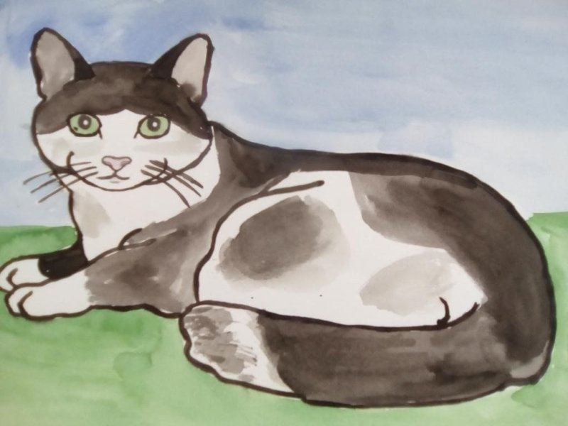 Рисование домашние питомцы