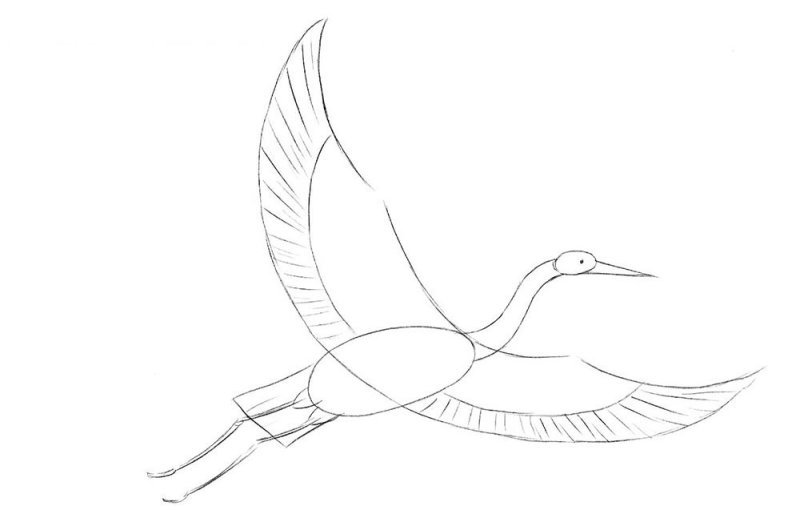 Журавль рисунок карандашом