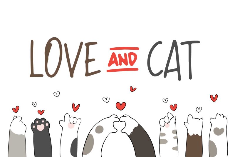 Мультяшные лапки котика