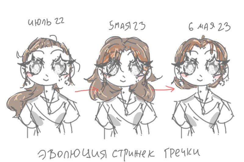 Рисунки