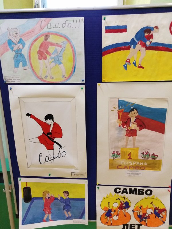 Плакат на тему самбо