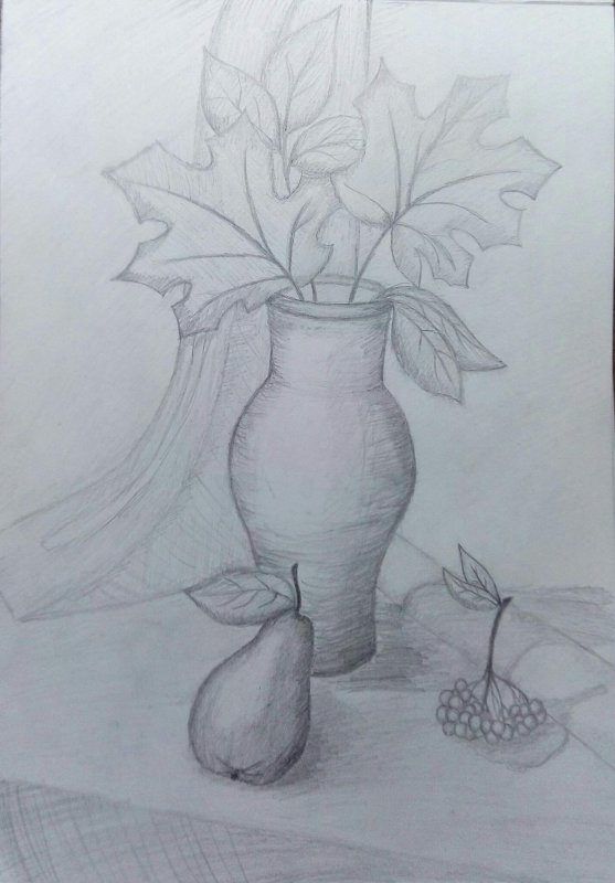 Натюрморт рисунок карандашом