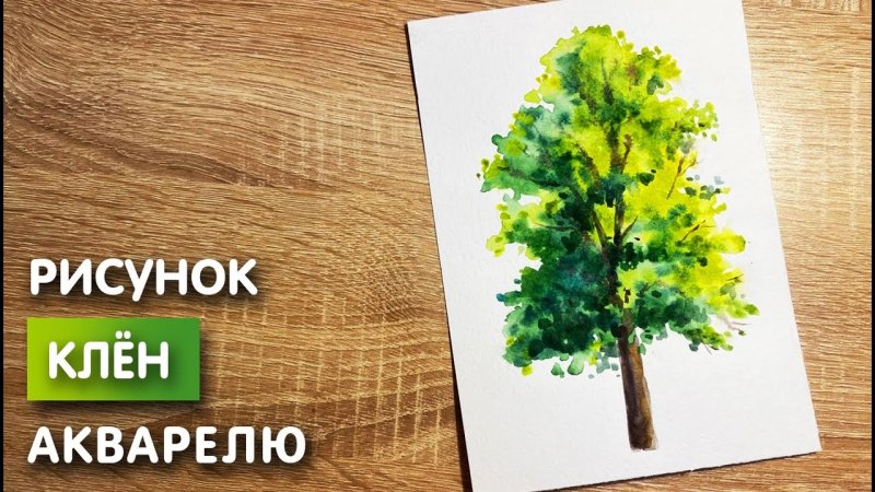 Рисунки красками новичкам