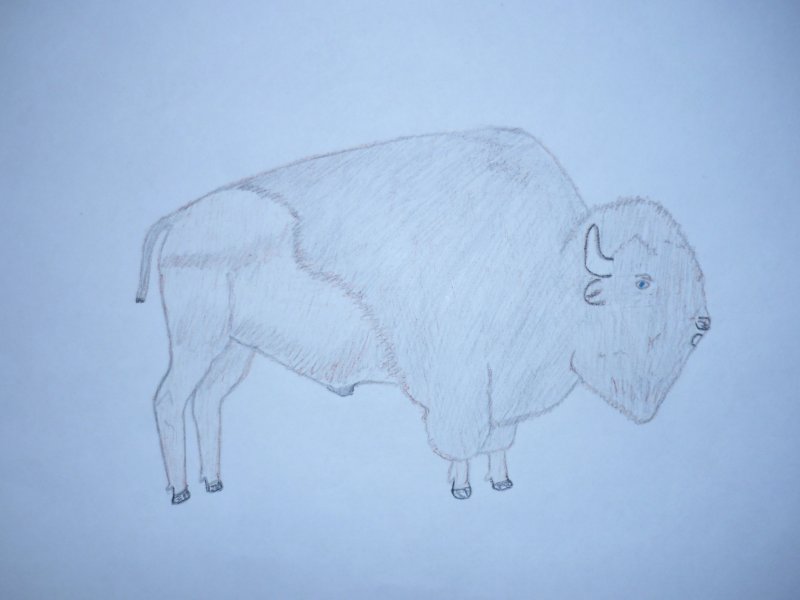 ЗУБР рисунок