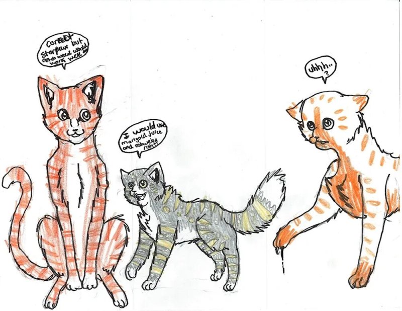 Кот воитель рисунок