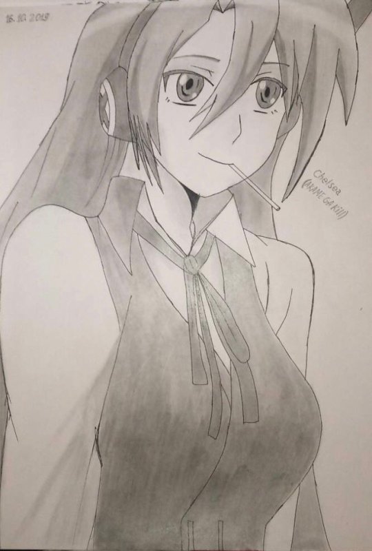 Akame ga Kill Космина
