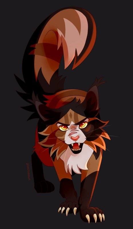Cats Warriors Кленовница