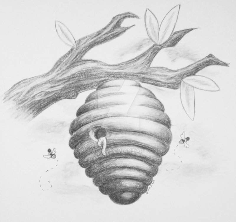 Рисование на ульях