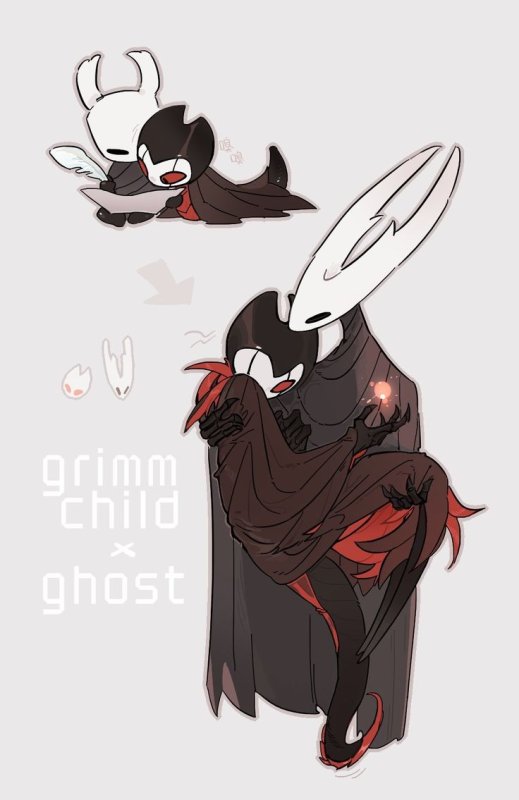 Hollow Knight the Knight x Grimmchild
