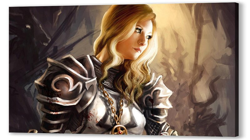 Diablo 3 Крестоносец девушка