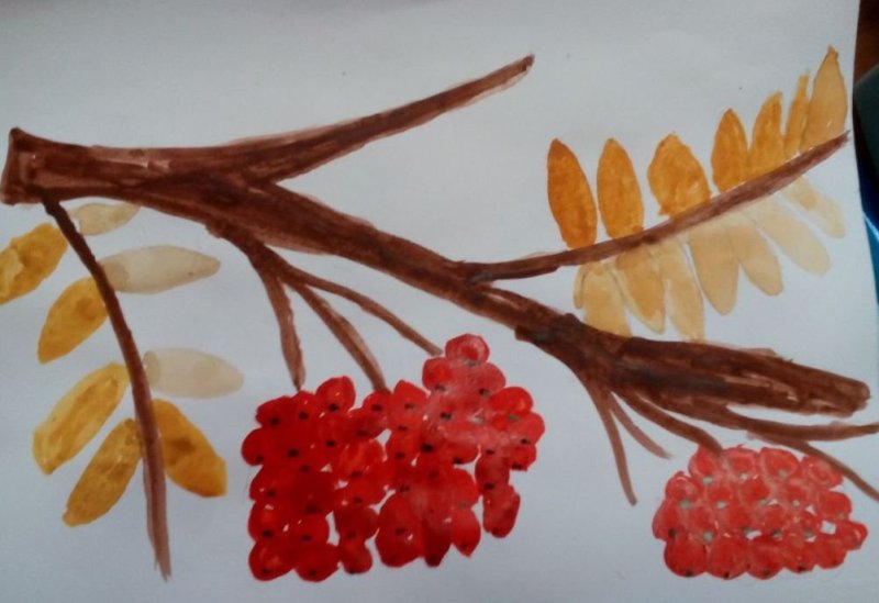 Ветка рябины рисование красками