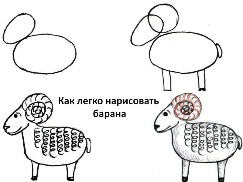 Барашек рисунок для детей карандашом
