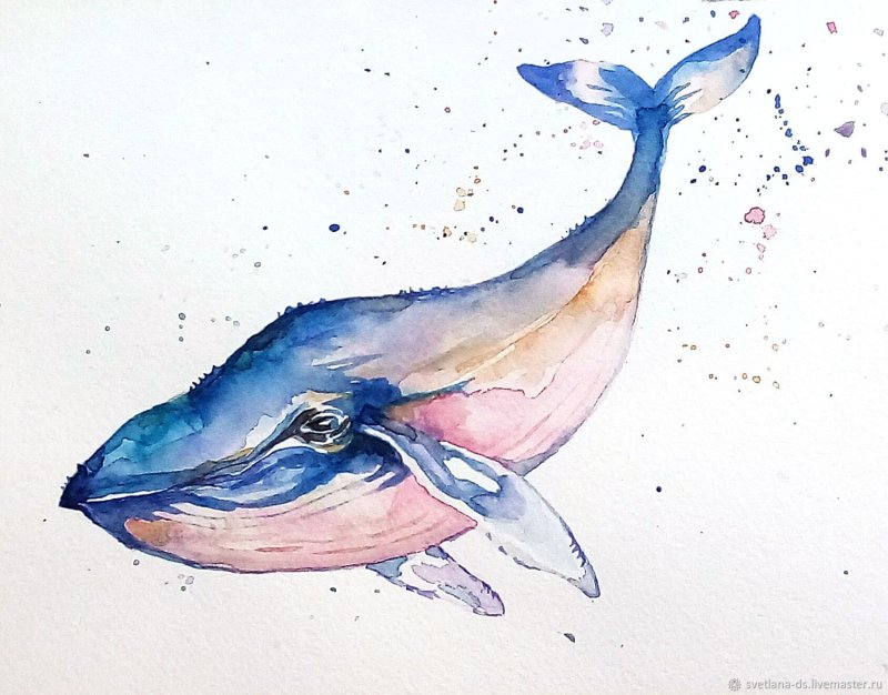 Кит рисунок