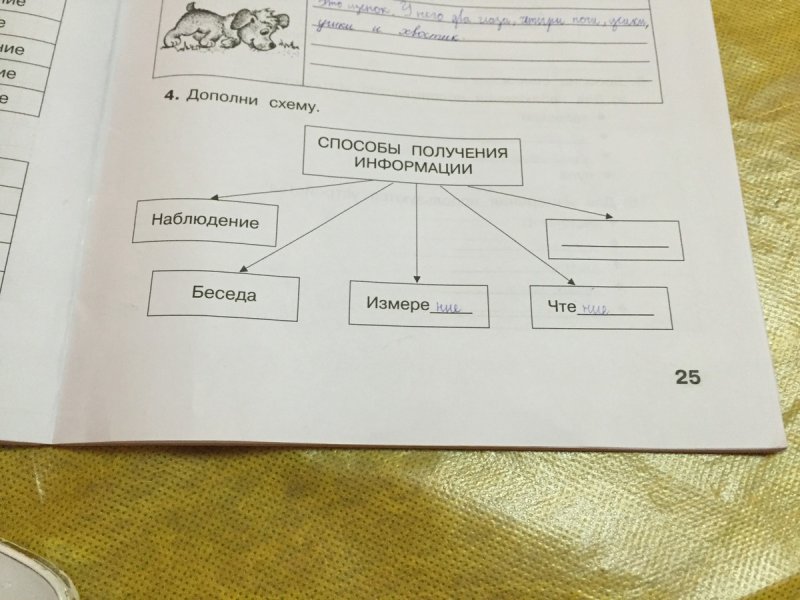 Заполни схему