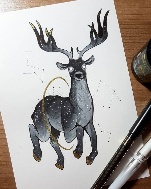 Идеи для рисунков животные