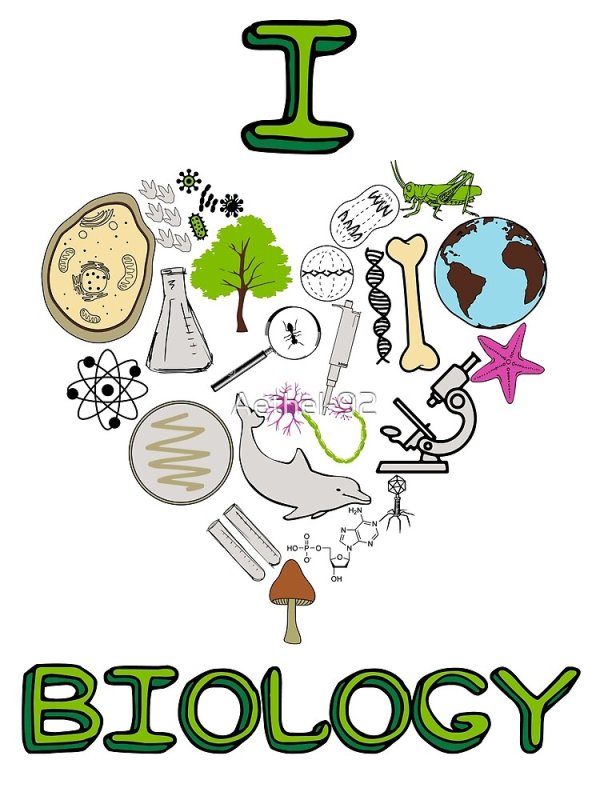 Рисунки по биологии