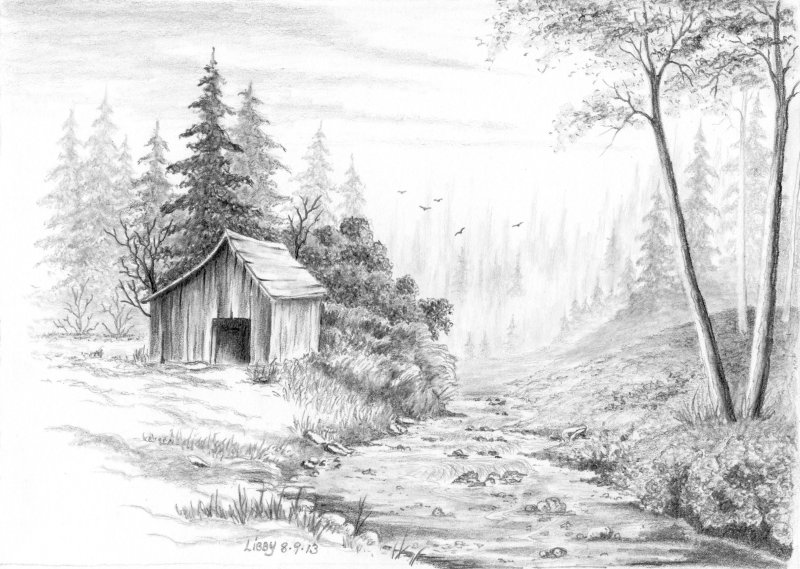 Природа карандашом