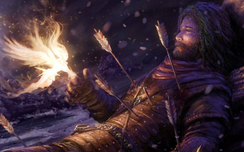 Одинокий воин