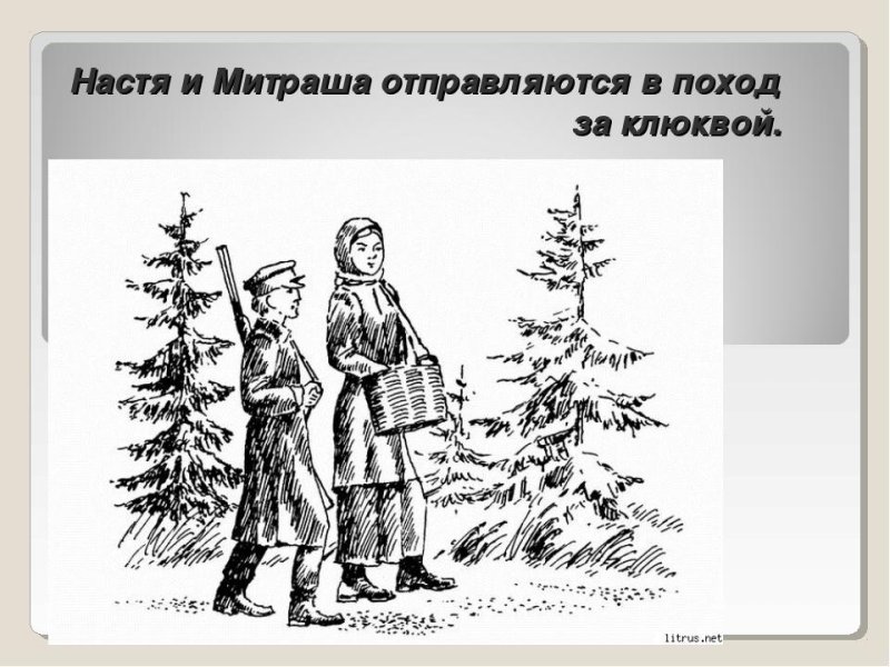 Иллюстрация к рассказу кладовая солнца Митраша