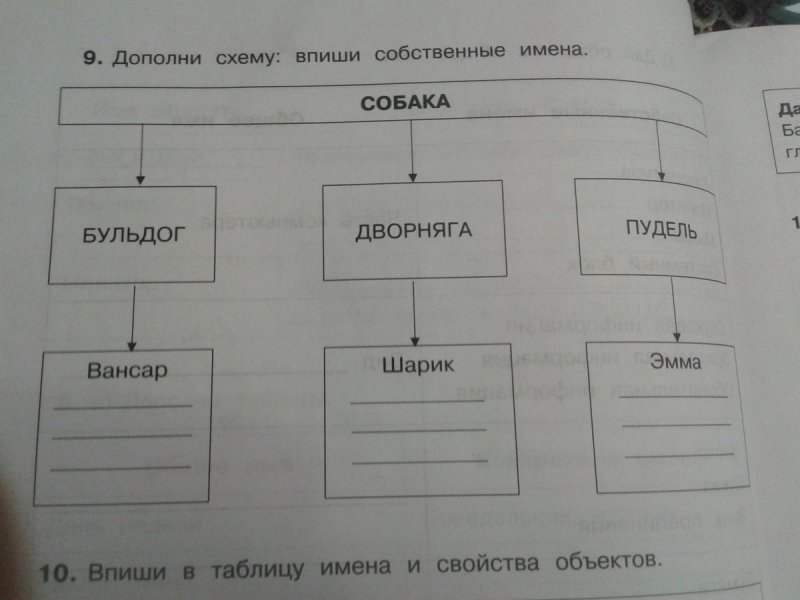 Дополни схему Информатика 2 класс