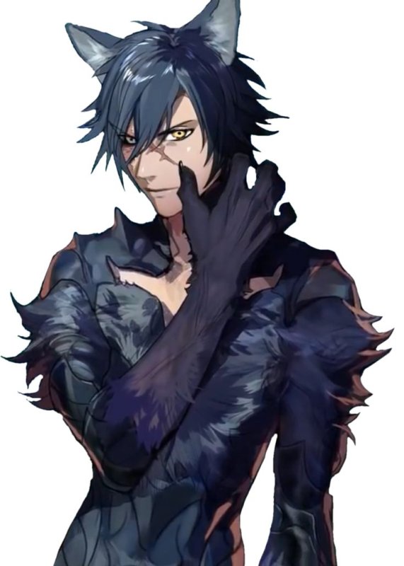 Кун полуволк