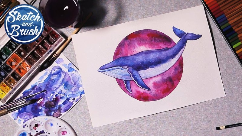 Кит красками