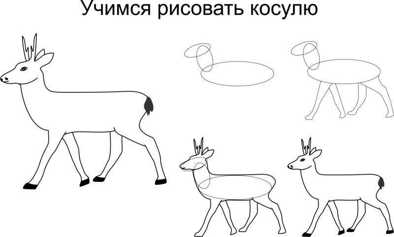 Косуля рисунок для детей