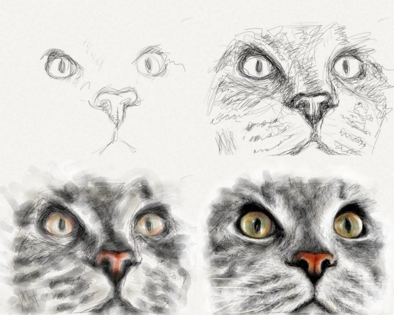 Нарисовать шерсть кошки