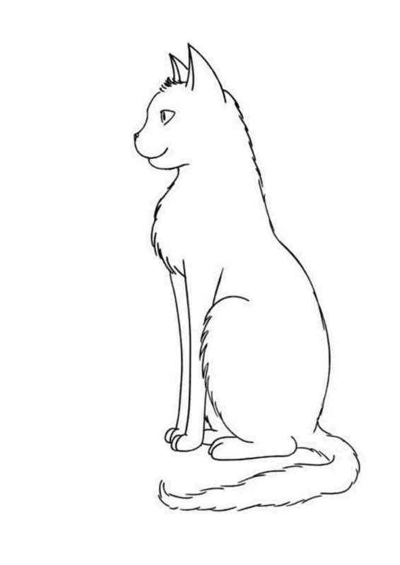 Кошка сидит рисунок
