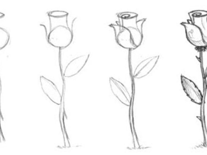 Рисунки карандашом лёгкие цветы