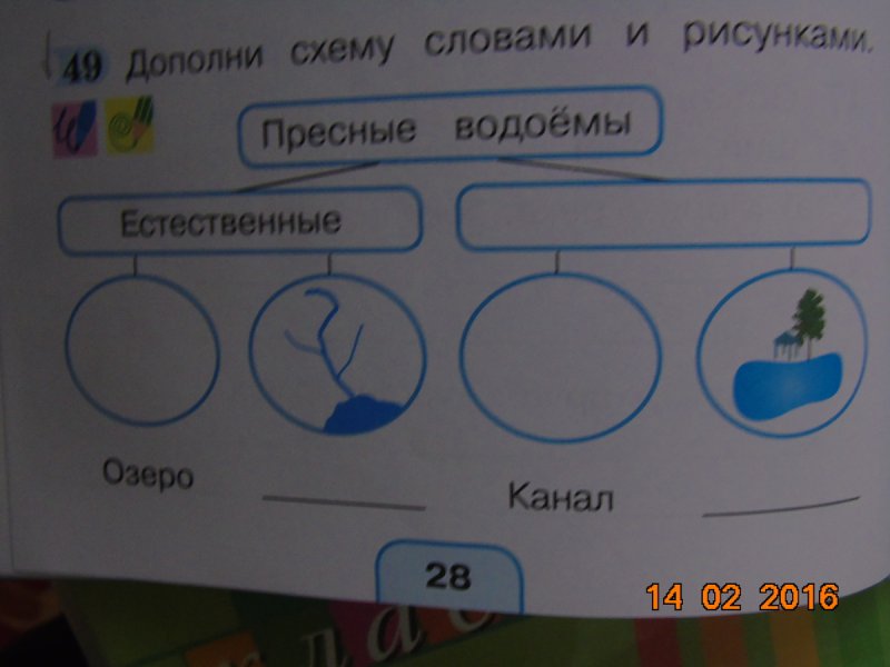 Дополни схему водоемы