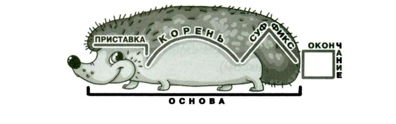 Части слова Ежик