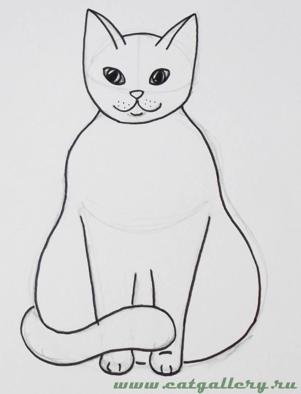 Кошка рисунок
