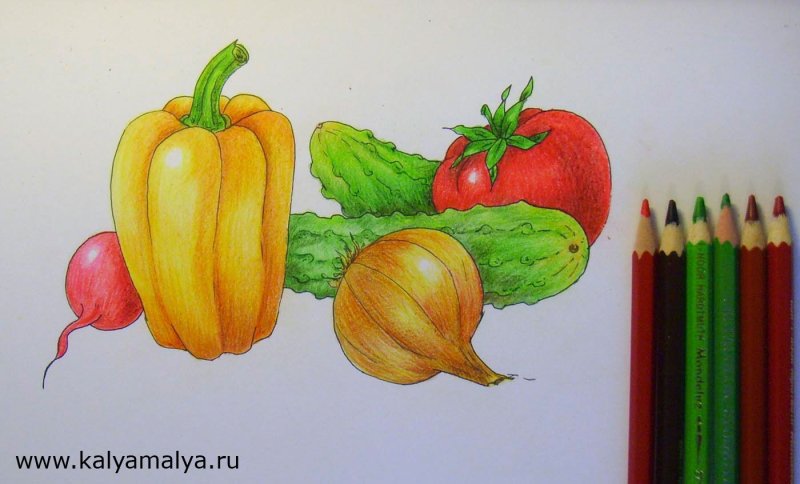 Рисование овощи и фрукты