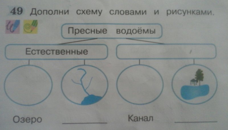 Дополни схему