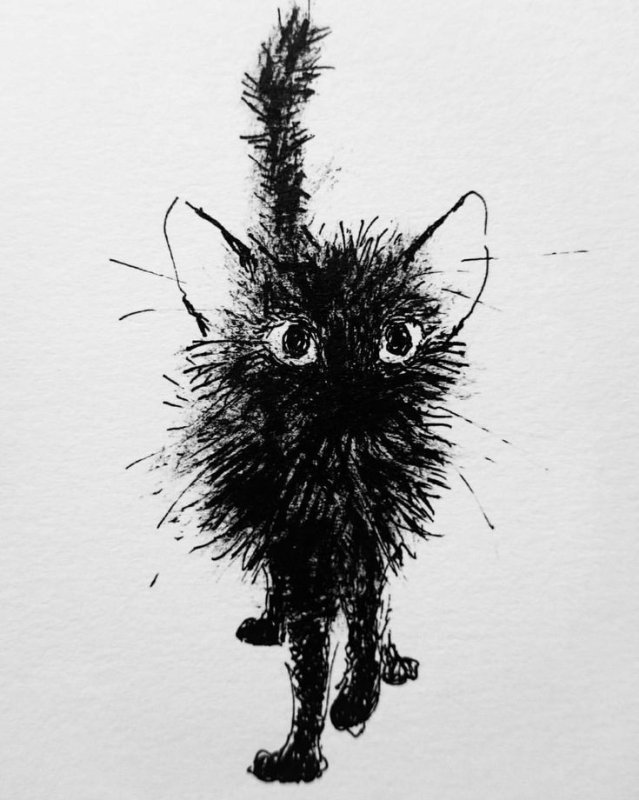 Коты тушью