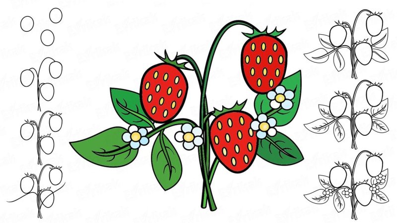 Земляника рисунок
