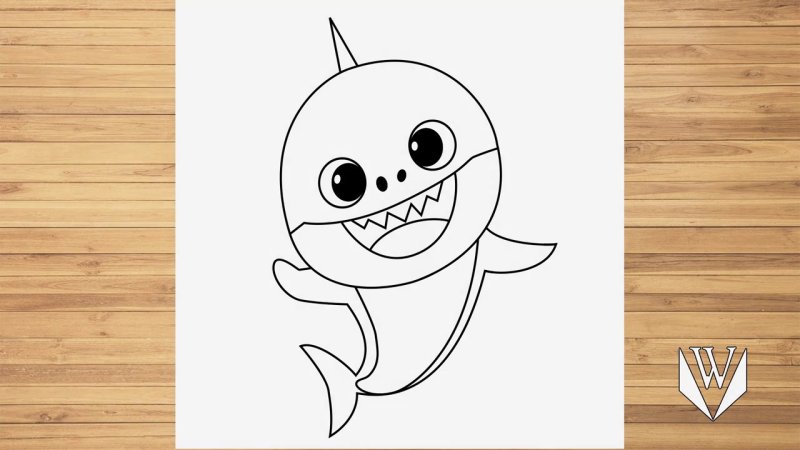 Baby Shark раскраска для детей
