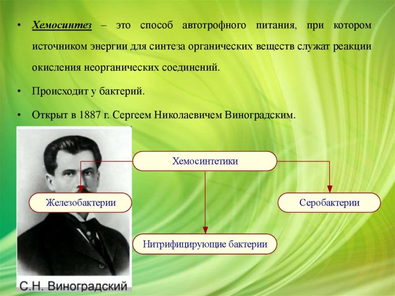 Хемосинтез открыл в 1887