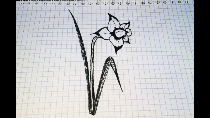 несложные рисунки