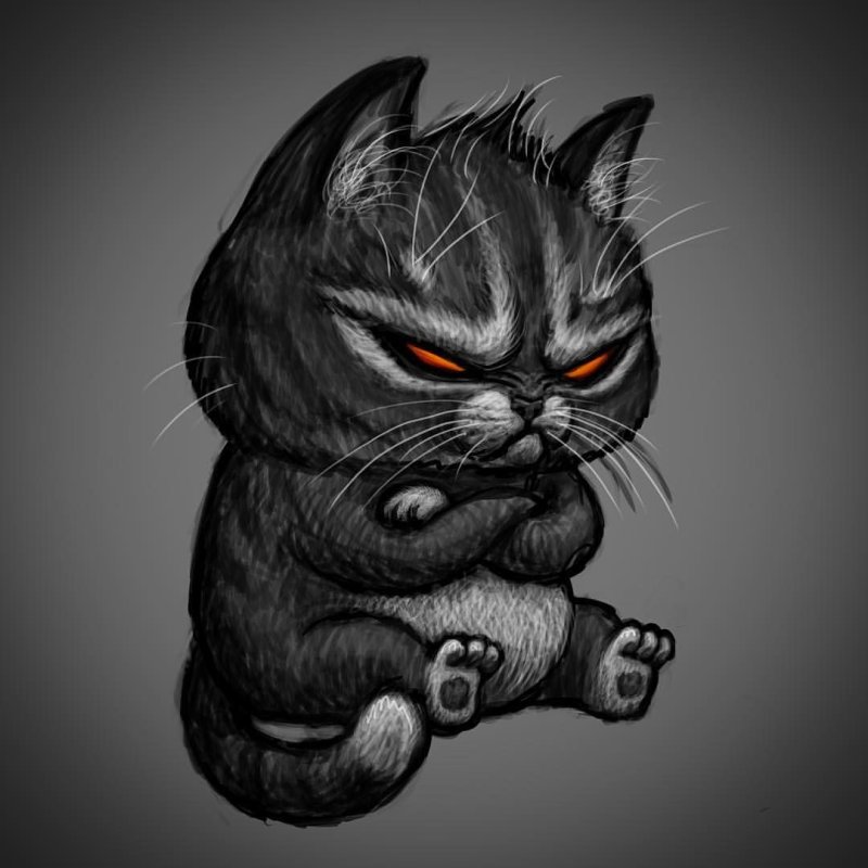 Злой кот