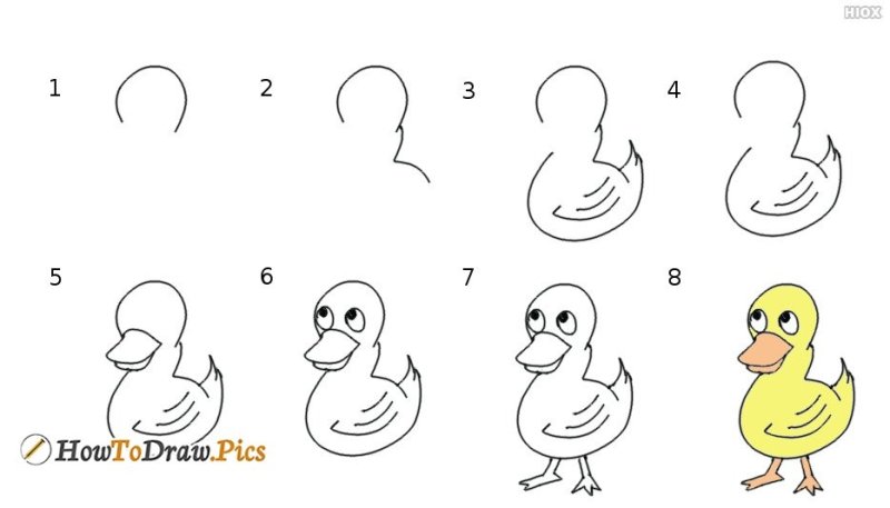 Утенок рисунок для детей карандашом