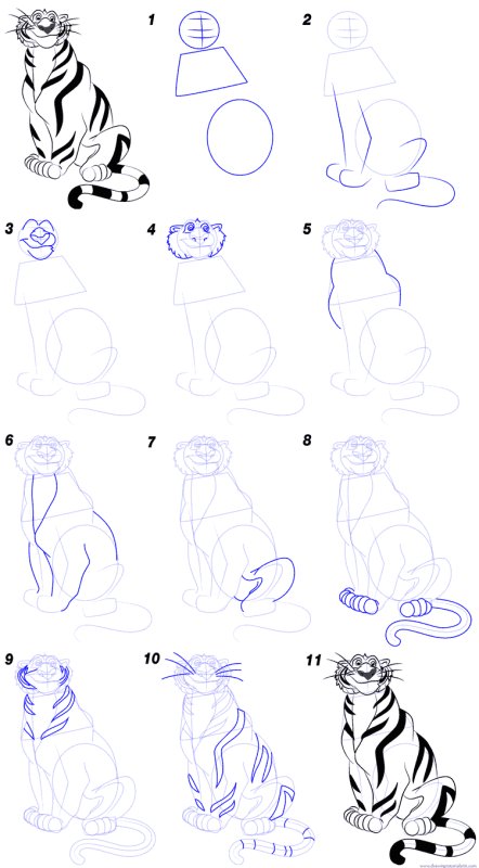 Поэтапный рисунок тигра