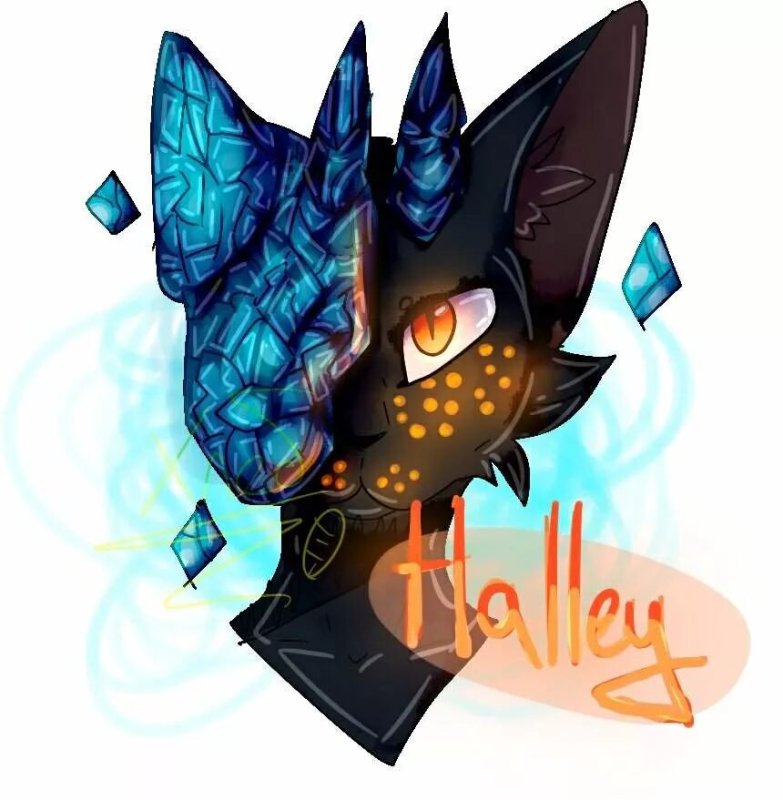 хейли из игры кастл кэтс