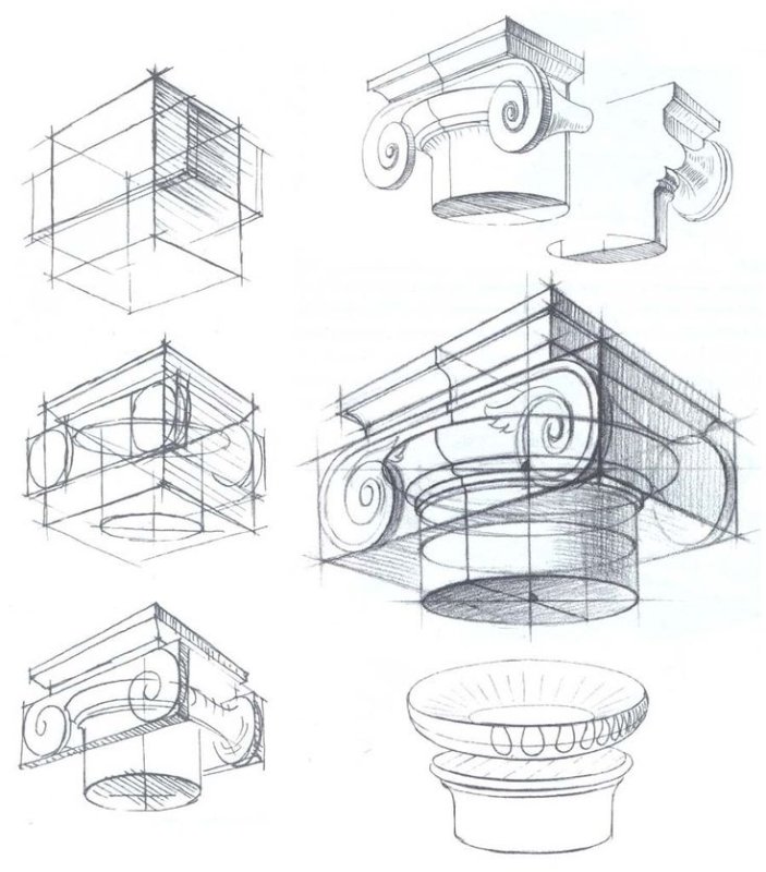 Конструктивный рисунок ионической капители
