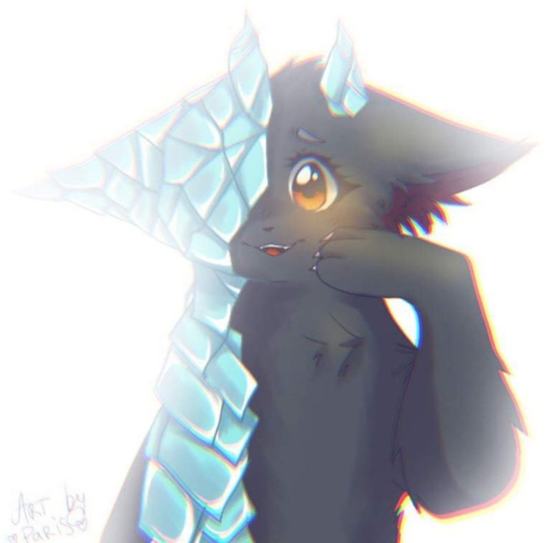 кот воители